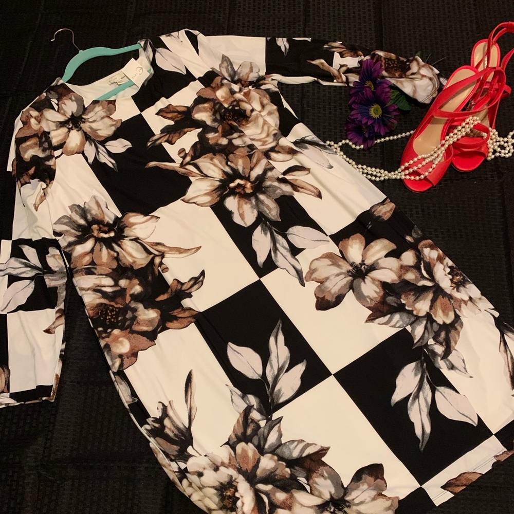 NWT Cato Dress